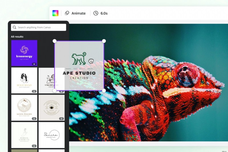 Top 12 videowatermerkhulpmiddelen:bescherm uw inhoud online 