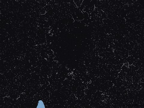 Beste geanimeerde tekstgeneratoren | Tools voor het maken van AI-video s 