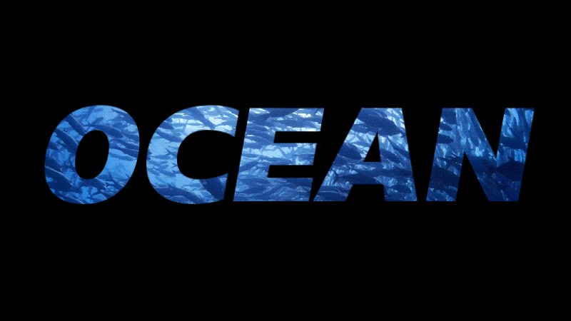 Beheersing van in-/uitzoomeffecten in video en tekst:een beginnershandleiding 