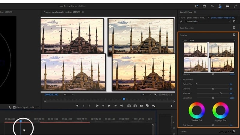 Premiere Pro-kleurcorrectie:beheer van tint, verzadiging en kleurcorrectie 