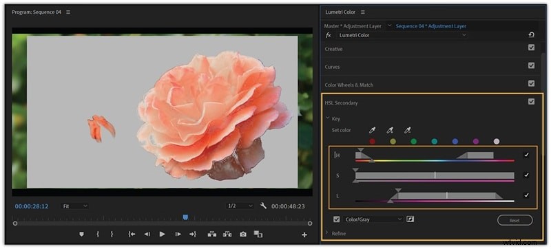 Premiere Pro-kleurcorrectie:beheer van tint, verzadiging en kleurcorrectie 