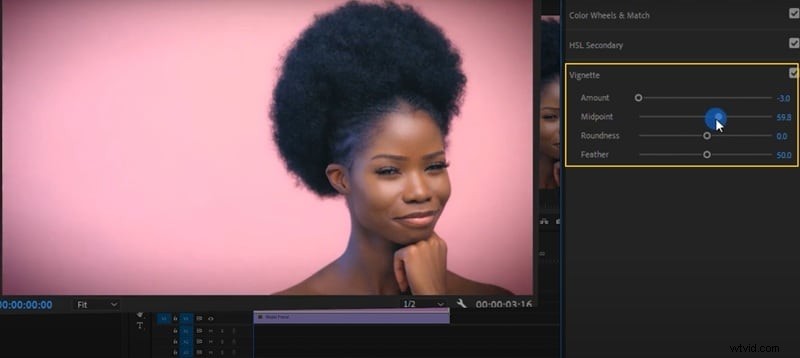 Premiere Pro-kleurcorrectie:beheer van tint, verzadiging en kleurcorrectie 