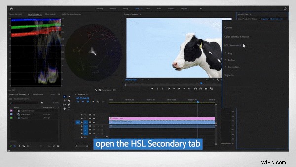 Premiere Pro-kleurcorrectie:beheer van tint, verzadiging en kleurcorrectie 