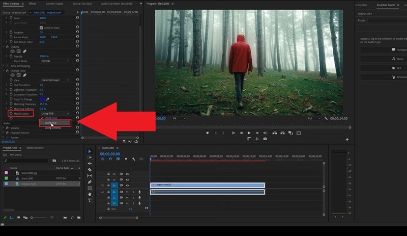Premiere Pro-kleurcorrectie:beheer van tint, verzadiging en kleurcorrectie 