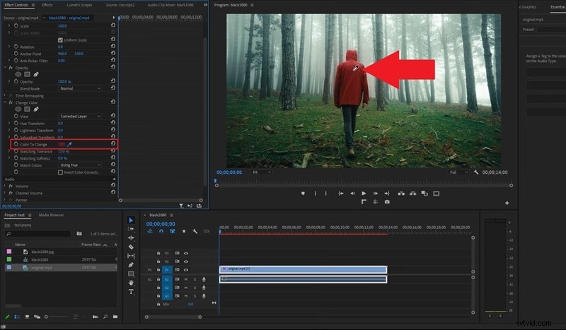 Premiere Pro-kleurcorrectie:beheer van tint, verzadiging en kleurcorrectie 