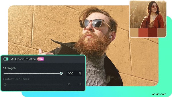Premiere Pro-kleurcorrectie:beheer van tint, verzadiging en kleurcorrectie 