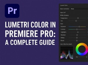 Master Premiere Pro Lumetri Color:una guida all editing video cinematografico 