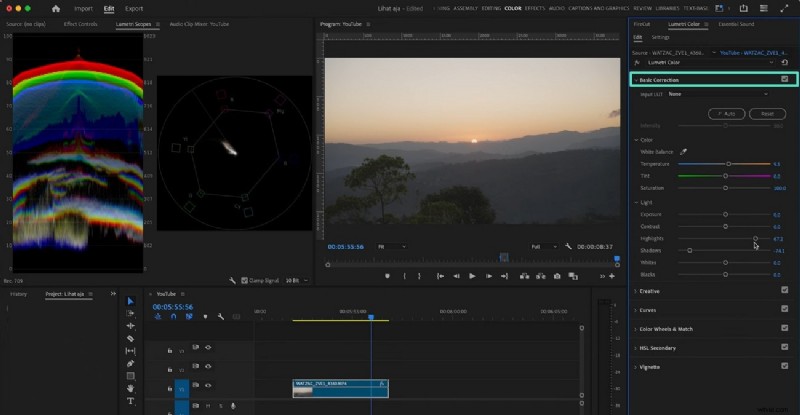 Master Premiere Pro Lumetri Color:een gids voor filmische videobewerking 