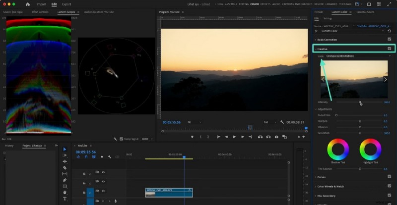 Master Premiere Pro Lumetri Color:een gids voor filmische videobewerking 