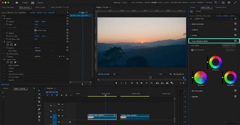 Master Premiere Pro Lumetri Color:een gids voor filmische videobewerking 