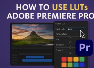 LUT s beheersen in Adobe Premiere Pro:een uitgebreide handleiding 