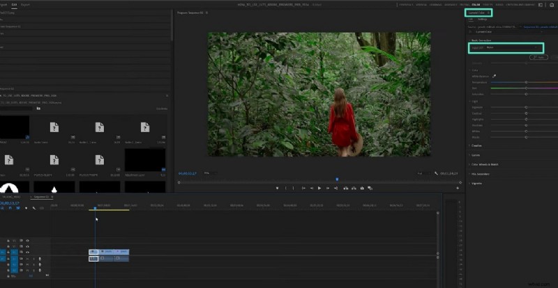 LUT s beheersen in Adobe Premiere Pro:een uitgebreide handleiding 