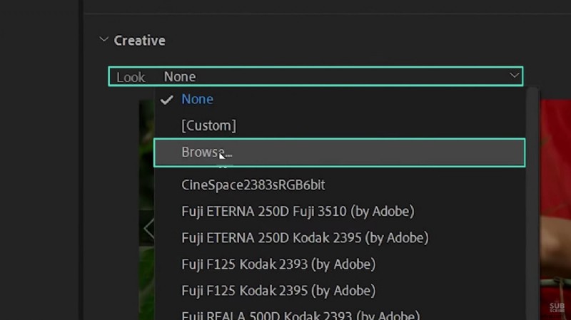 LUT s beheersen in Adobe Premiere Pro:een uitgebreide handleiding 