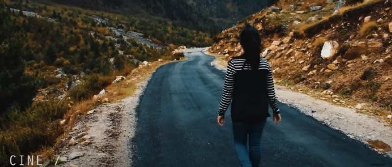 LUT s beheersen in Adobe Premiere Pro:een uitgebreide handleiding 