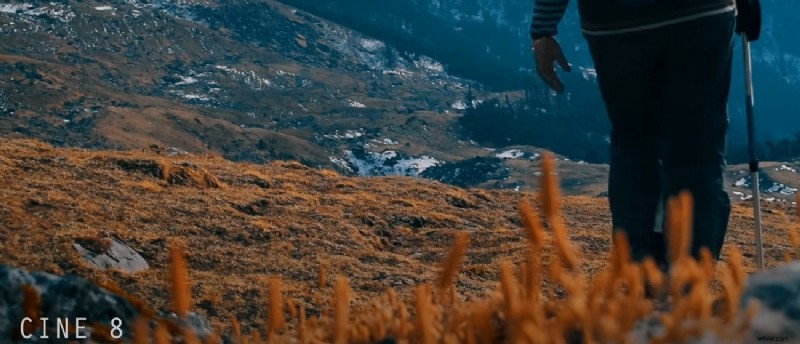 LUT s beheersen in Adobe Premiere Pro:een uitgebreide handleiding 