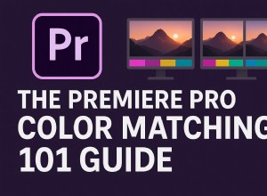 Corrispondenza colore principale in Adobe Premiere Pro su Mac | Tutorial e alternative 