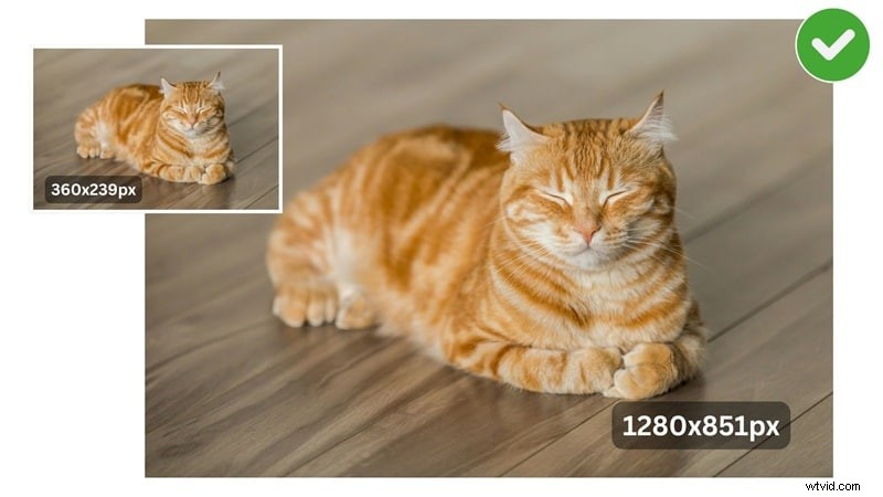 Afbeeldingen opwaarderen zonder kwaliteitsverlies:beste AI-tools (2024) 