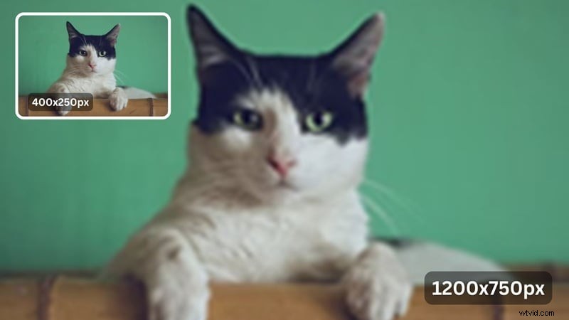 Afbeeldingen opwaarderen zonder kwaliteitsverlies:beste AI-tools (2024) 