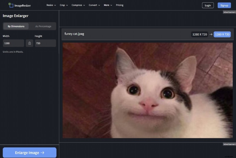 Afbeeldingen opwaarderen zonder kwaliteitsverlies:beste AI-tools (2024) 