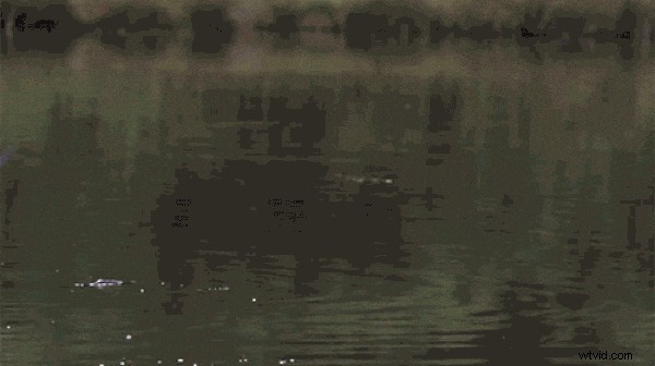 Premiere Pro Optical Flow:bereik vloeiende slow motion (gids 2024) 