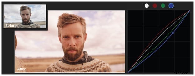 Premiere Pro Curves:een uitgebreide gids voor kleurcorrectie en -gradatie 