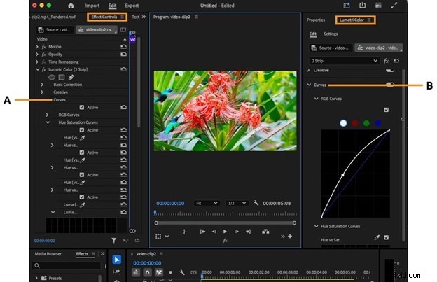 Premiere Pro Curves:een uitgebreide gids voor kleurcorrectie en -gradatie 