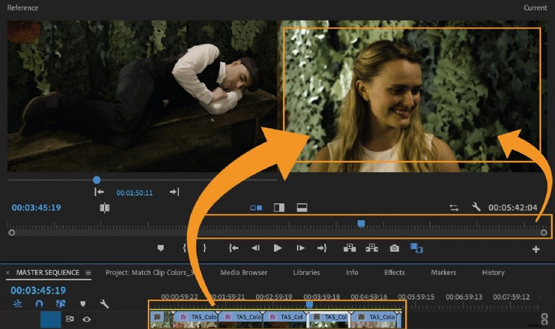 Premiere Pro Curves:een uitgebreide gids voor kleurcorrectie en -gradatie 