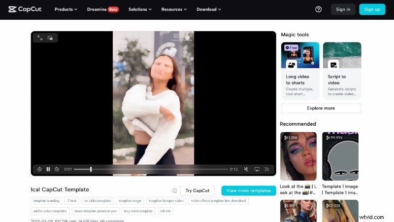 CapCut trending-sjablonen 2024:maak virale TikTok- en Reels-video s | Filmora AI 