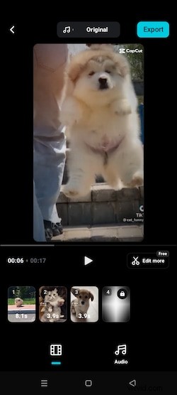 CapCut AutoCut versus Filmora AI Auto Cut:welke AI-video-editor is het beste? 