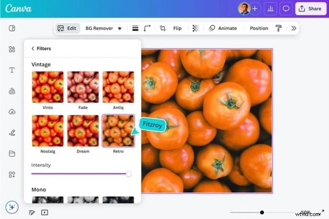 Canva Video Editor Review:is het krachtig genoeg voor professionele makers? 
