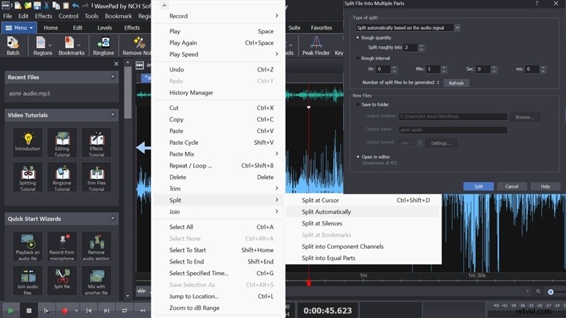 WavePad Audio Editor Review 2024:is dit nog steeds de beste gratis optie? 