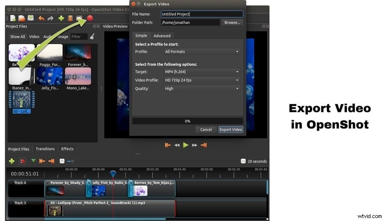 DaVinci Resolve versus OpenShot:welke gratis video-editor is geschikt voor u? 