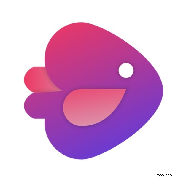 Top AI-aangedreven Instagram Reel-editors 2026 | Gratis en betaalde opties 