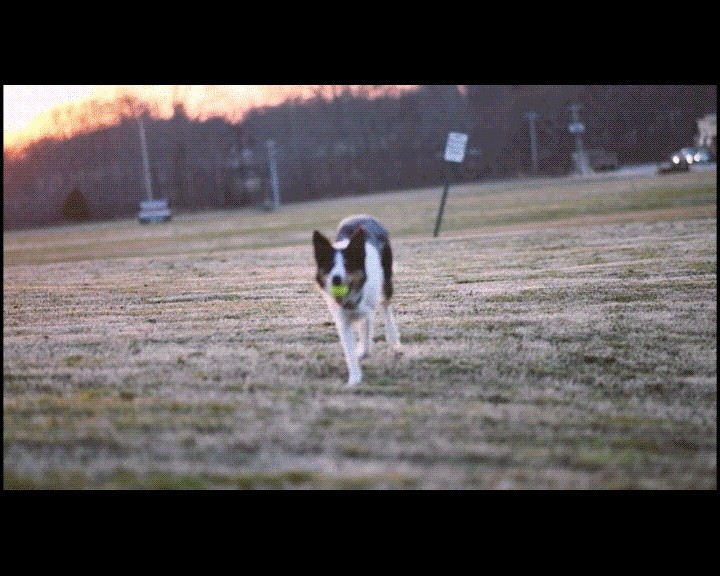 KineMaster-effecten:een eenvoudige handleiding voor videobewerking 