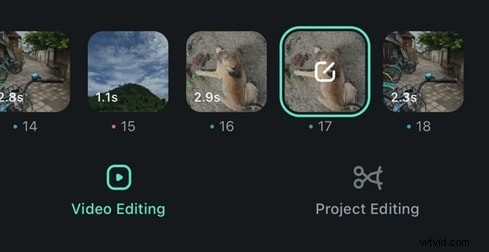 Beste fotocollage-apps voor iPhone en Android - gratis en betaald 