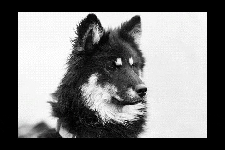 2026 Beste glitch-effectgeneratoren:Filmora AI en topalternatieven 