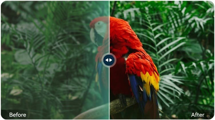 Topaz Photo AI 2026:recensie en is het nog steeds de moeite waard? 