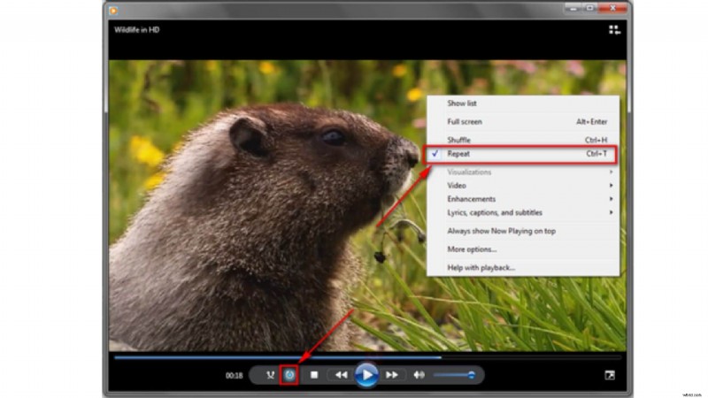 Top Video Looper-tools voor naadloze herhaling | [Jaar] 