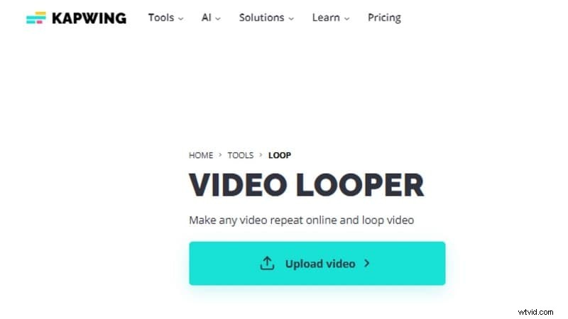 Top Video Looper-tools voor naadloze herhaling | [Jaar] 