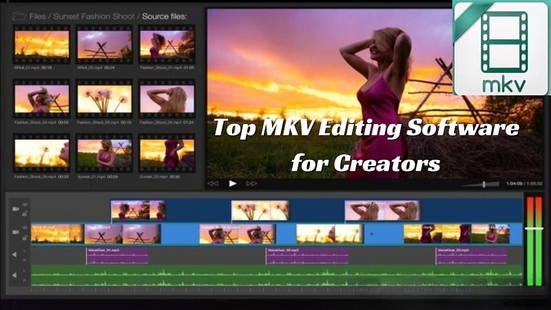 Beste MKV-video-editors:bewerk MKV-bestanden met gemak - [Jaar] 