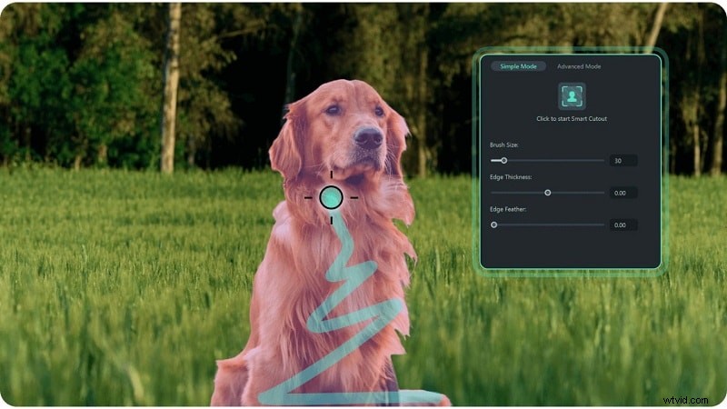 Magix Movie Edit Pro Review 2024:alternatieven voor moderne videobewerking 