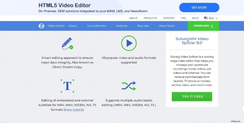 SolveigMM Video Splitter Review:efficiënt video bijsnijden en bewerken (update 2024) 