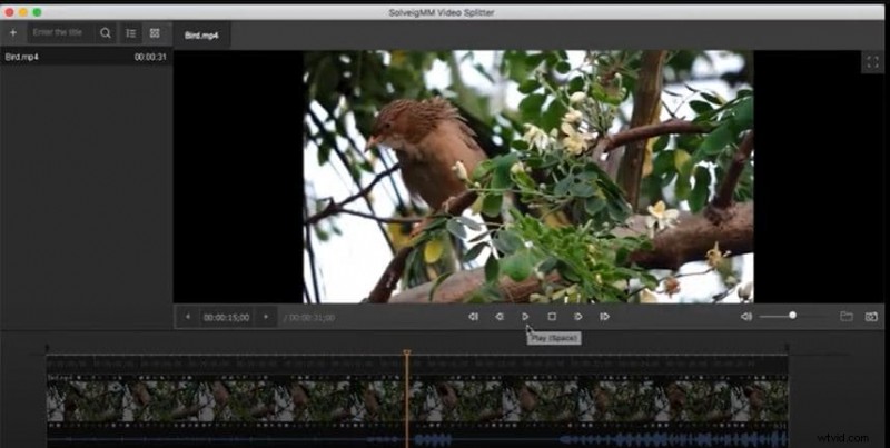SolveigMM Video Splitter Review:efficiënt video bijsnijden en bewerken (update 2024) 