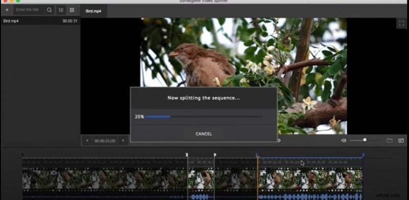 SolveigMM Video Splitter Review:efficiënt video bijsnijden en bewerken (update 2024) 