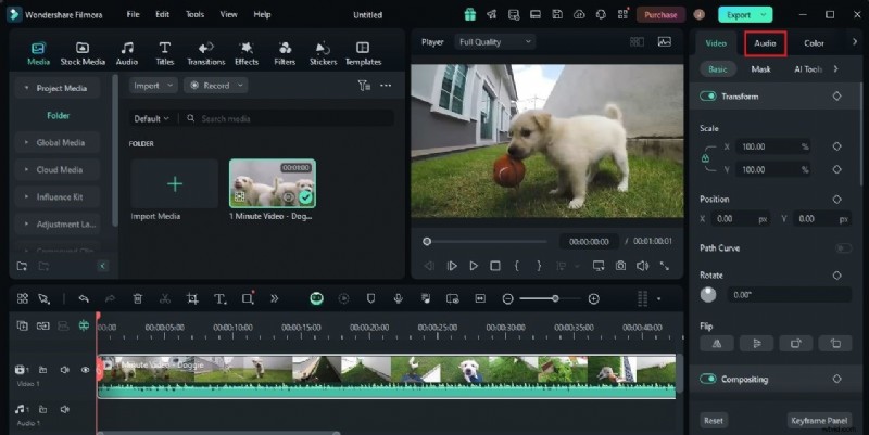 Verbeter podcastaudio:Adobe en effectieve alternatieven 