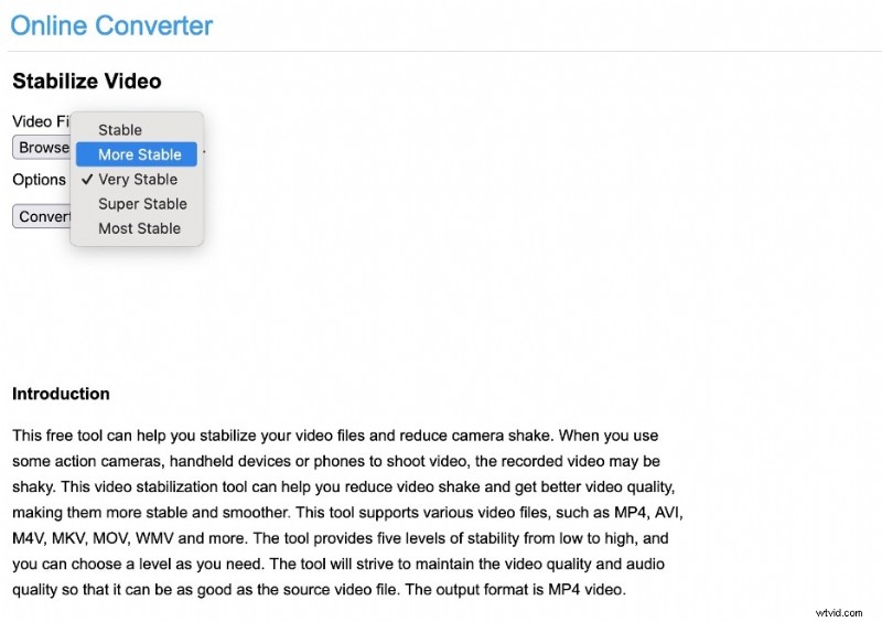 Beste gratis videostabilisatoren:online- en software-opties (2024) 