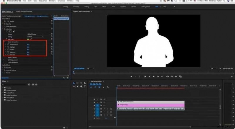 Premiere Pro:videoachtergronden verwijderen (gids 2024) 