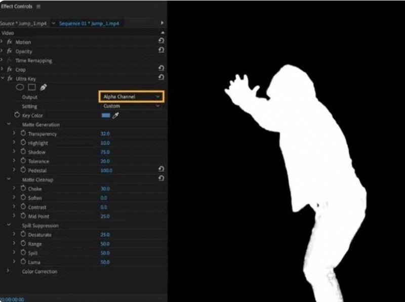 Premiere Pro:videoachtergronden verwijderen (gids 2024) 