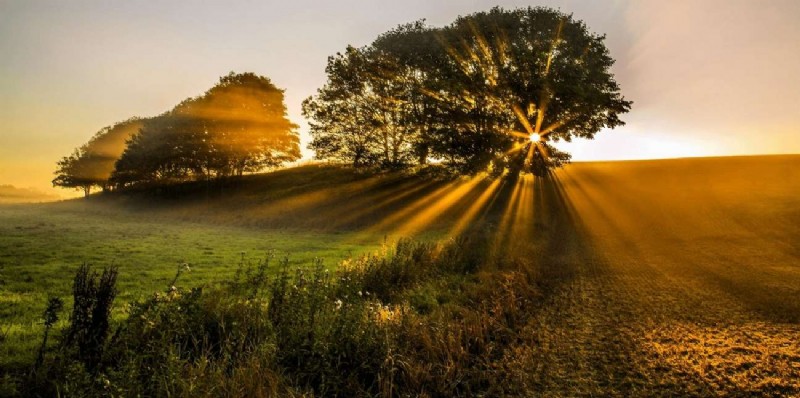 Beheersing van filmische videografie:deskundige technieken voor krachtige verhalen 