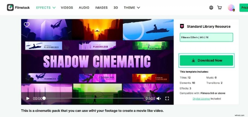 Beheersing van filmische videografie:deskundige technieken voor krachtige verhalen 